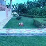 Alexis クサミル