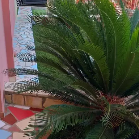 Alexis Lägenhet Ksamil